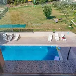 In 45894